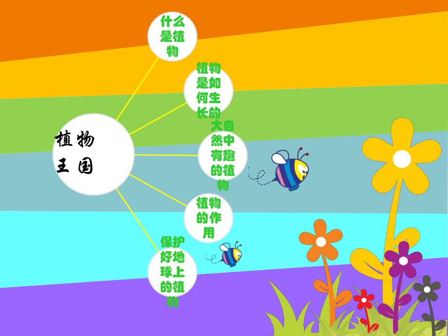 大班科学《植物王国》PPT课件教案160323-幼儿园讲课PPT-植物.ppt_第3页