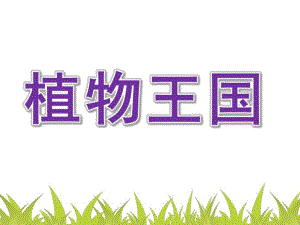 大班科学《植物王国》PPT课件教案160323-幼儿园讲课PPT-植物.ppt