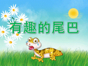 中班科学《有趣的尾巴》PPT课件教案视频PPT课件.ppt