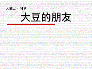大班科学《大豆的朋友》PPT课件教案大班上科学：黄豆和豆制品.ppt