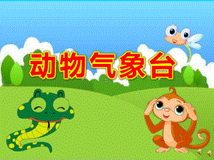 幼儿园动物气象台PPT课件教案版本.ppt