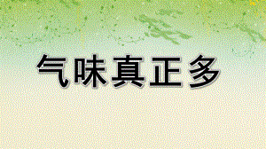 小班科学课件《气味真正多》PPT课件教案幼儿园小班上册科学活动《气味真正多》课件.ppt