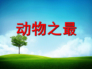 幼儿园动物之最PPT课件教案动物之最.ppt
