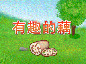 大班科学《有趣的藕》PPT课件教案大班科学课件《有趣的藕》PPT课件.ppt