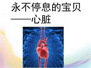 大班健康主题《永不停息的心脏》PPT课件教案幼儿园主题课：永不停息的心脏.ppt