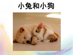 小班社会《礼貌小天使小兔和小狗》PPT课件小班社会：礼貌小天使《小兔和小狗》.ppt