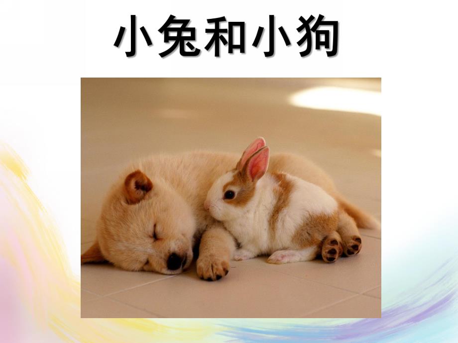 小班社会《礼貌小天使小兔和小狗》PPT课件小班社会:礼貌小天使《小兔和小狗》.ppt_第1页