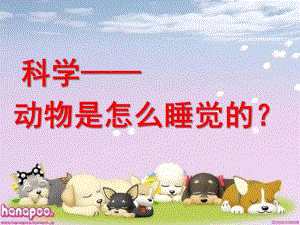 幼儿园科学《动物是怎么睡觉的》PPT课件教案科学：动物是怎么睡觉的？.ppt