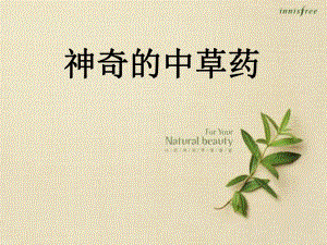 大班科学活动《神奇的中草药》2版视频+课件PPT+详案+动画神奇的中草药.ppt