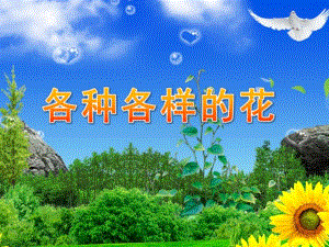 幼儿园《各种各样的花》PPT课件教案《各种各样的花》.ppt