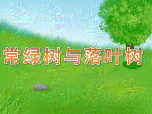幼儿园认识《常绿树与落叶树》PPT课件教案PPT课件.ppt