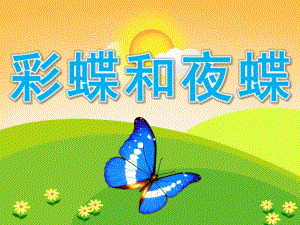 大班科学《彩蝶和夜蝶》PPT课件教案PPT课件.ppt