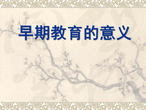 幼儿早期教育的重要性PPT课件早期教育的重要性.ppt