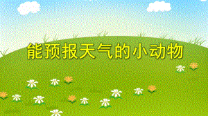 大班科学活动《能预报天气的小动物》PPT课件大班科学活动《能预报天气的小动物》PPT课件.ppt