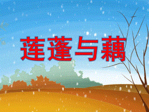 大班科学《莲蓬与藕》PPT课件莲蓬与藕.ppt