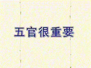 大班健康活动《五官很重要》PPT课件教案五官很重要概述.ppt