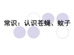 幼儿园常识《认识苍蝇、蚊子》PPT课件常识：认识苍蝇、蚊子.ppt