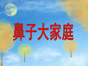 大班科学《鼻子大家庭》PPT课件ppt课件.ppt