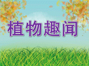 大班科学活动《植物趣闻》PPT课件教案PPT课件.ppt