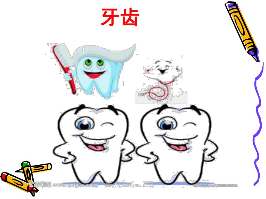 大班科学活动《我的牙齿》PPT课件大班科学活动《我的牙齿》.ppt_第2页
