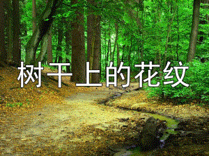 大班美术《树干上的花纹》PPT课件教案树干上的花纹.ppt
