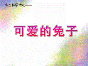 小班科学活动《可爱的兔子》PPT课件教案小班科学活动：可爱的兔子PPT.ppt