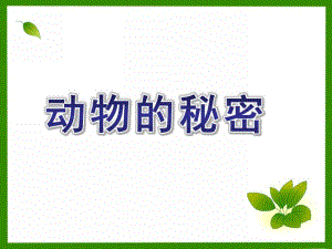 大班科学公开课《动物的秘密》PPT课件大班科学：动物的秘密.ppt