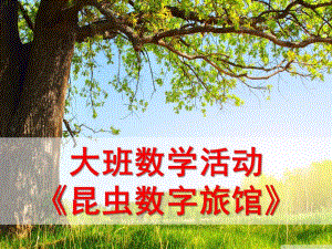 大班数学活动《昆虫数字旅馆》PPT课件教案大班数学活动《昆虫旅馆》.ppt
