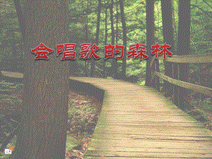 大班语言《会唱歌的森林》PPT课件会唱歌的森林.ppt