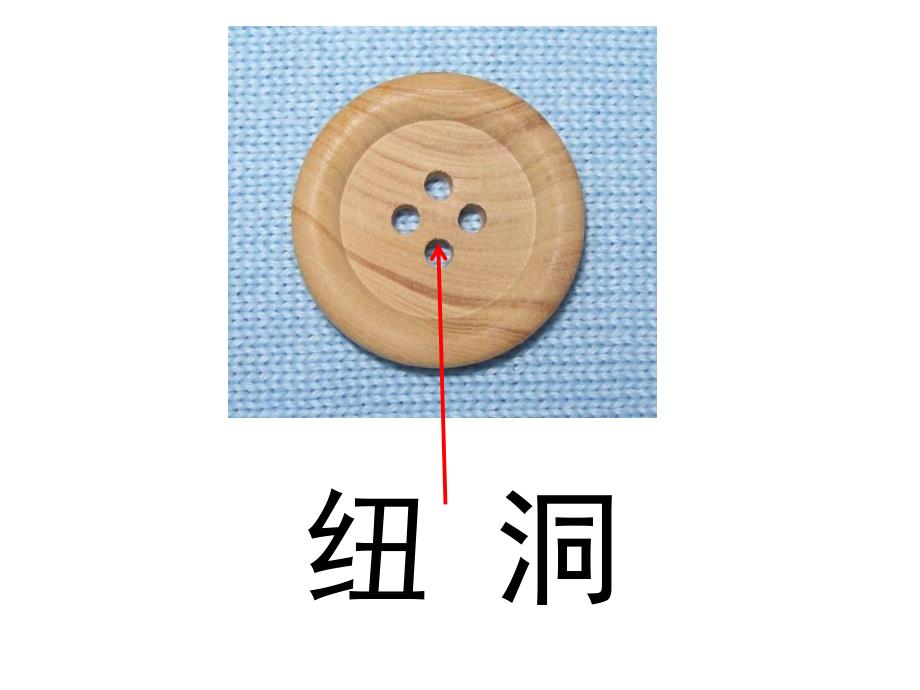 小班科学活动《各种各样的纽扣》PPT课件小班科学:各种各样的纽扣.ppt_第3页