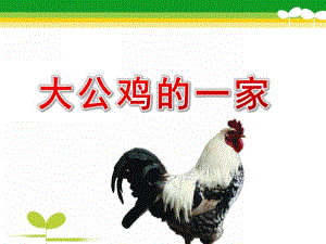 小班活动《大公鸡的一家》PPT课件大公鸡的一家.ppt