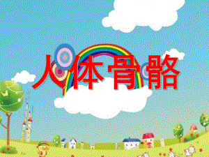 大班科学《人体骨骼》PPT课件教案5d709abeb207e87101f69e3143323968001cf41d.ppt