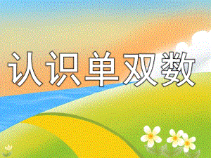 中班《认识单双数》PPT课件教案PPT课件.ppt