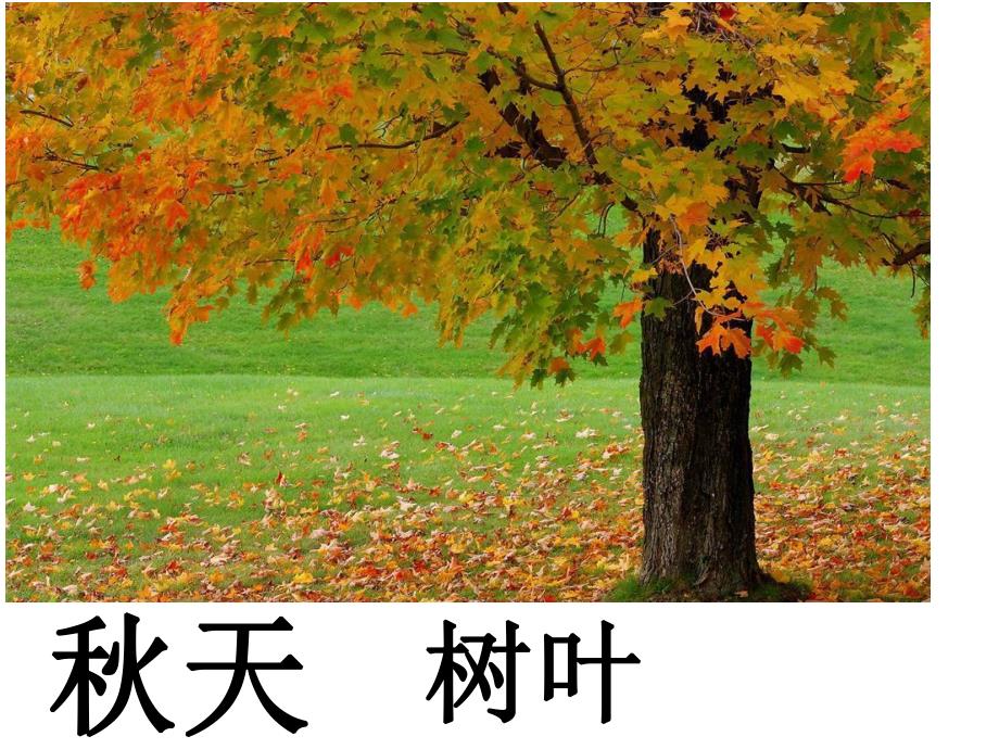 大班语言《姐姐写信》PPT课件.ppt_第3页