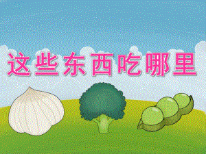 大班主题《这些东西吃哪里》PPT课件教案PPT课件.ppt