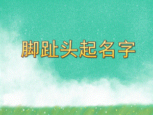 大班科学绘本《脚趾头起名字》PPT课件教案脚指头起名字.ppt