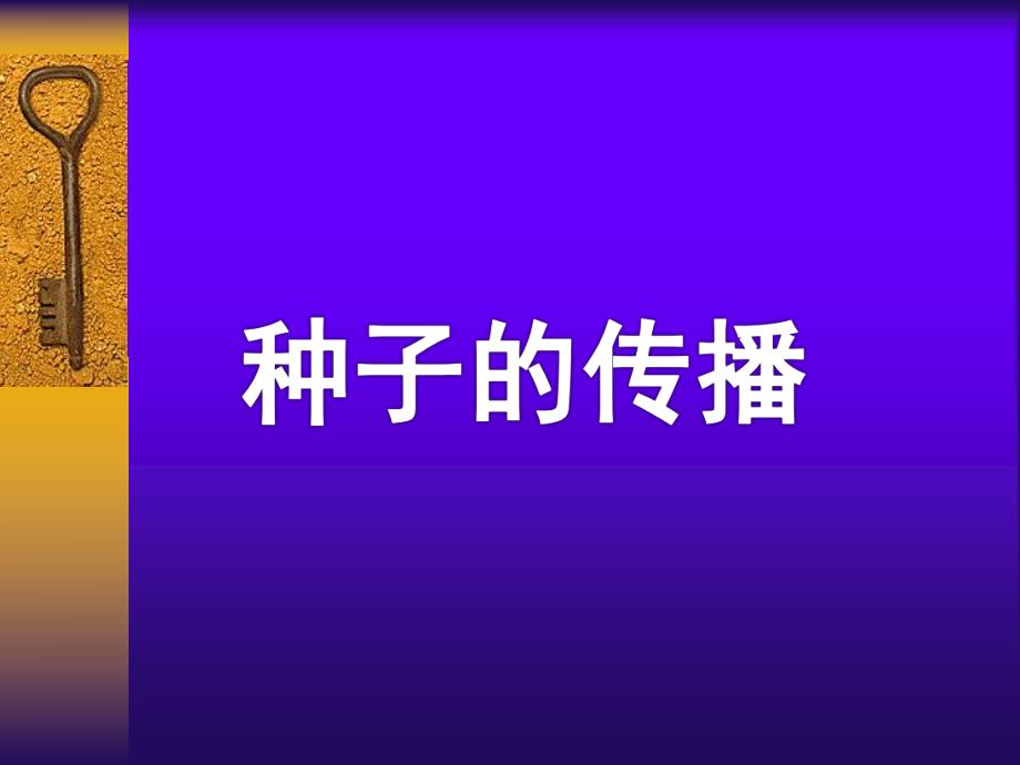 大班科学活动《种子的传播》PPT课件教案大班科学活动:种子的传播.ppt_第1页