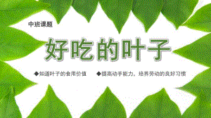 中班主题《好吃的叶子》PPT课件教案好吃的叶子.ppt