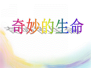大班科学《奇妙的生命》PPT课件教案奇妙的生命.ppt