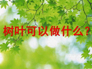 大班艺术《树叶可以做什么》PPT课件教案树叶可以做什么.ppt