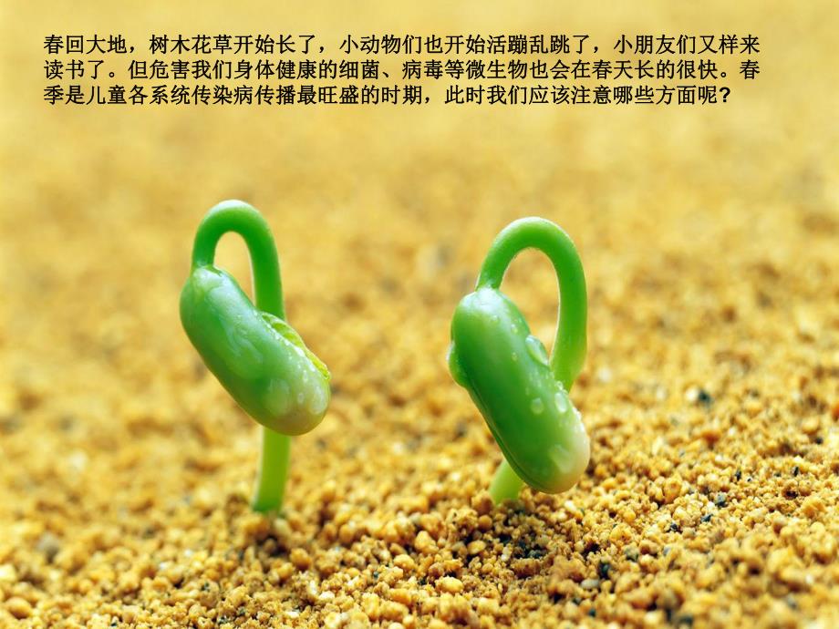 大班健康《预防疾病》课件PPT教案大班健康《预防疾病》讲义.ppt_第2页
