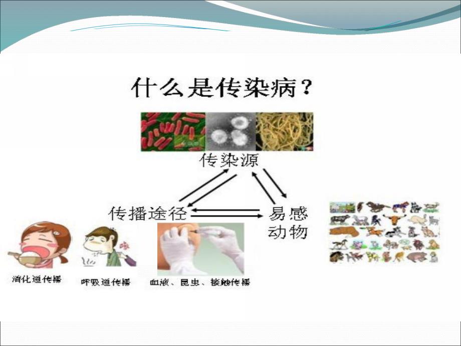 大班健康《预防疾病》课件PPT教案大班健康《预防疾病》讲义.ppt_第3页