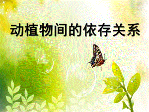 大班语言《动植物间的依存关系》PPT课件动物间的依存关系.ppt