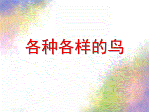 大班科学《各种各样的鸟》PPT课件教案各种各样的鸟.ppt