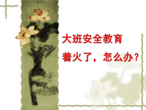 大班社会《着火了怎么办》PPT课件教案.ppt