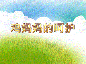 幼儿园母亲节课件《鸡妈妈的呵护》PPT课件教案.ppt
