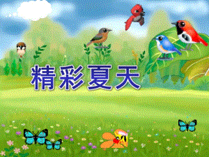 大班音乐《精彩夏天》PPT课件教案精彩夏天课件.ppt