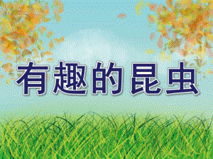 中班《有趣的昆虫》PPT课件教案有趣的昆虫(2).ppt