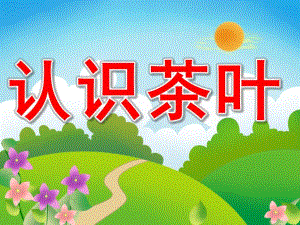 大班社会《认识茶叶》PPT课件教案PPT课件.ppt