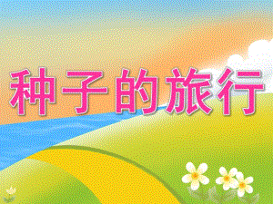 大班科学《种子的旅行》PPT课件教案视频PPT课件.ppt